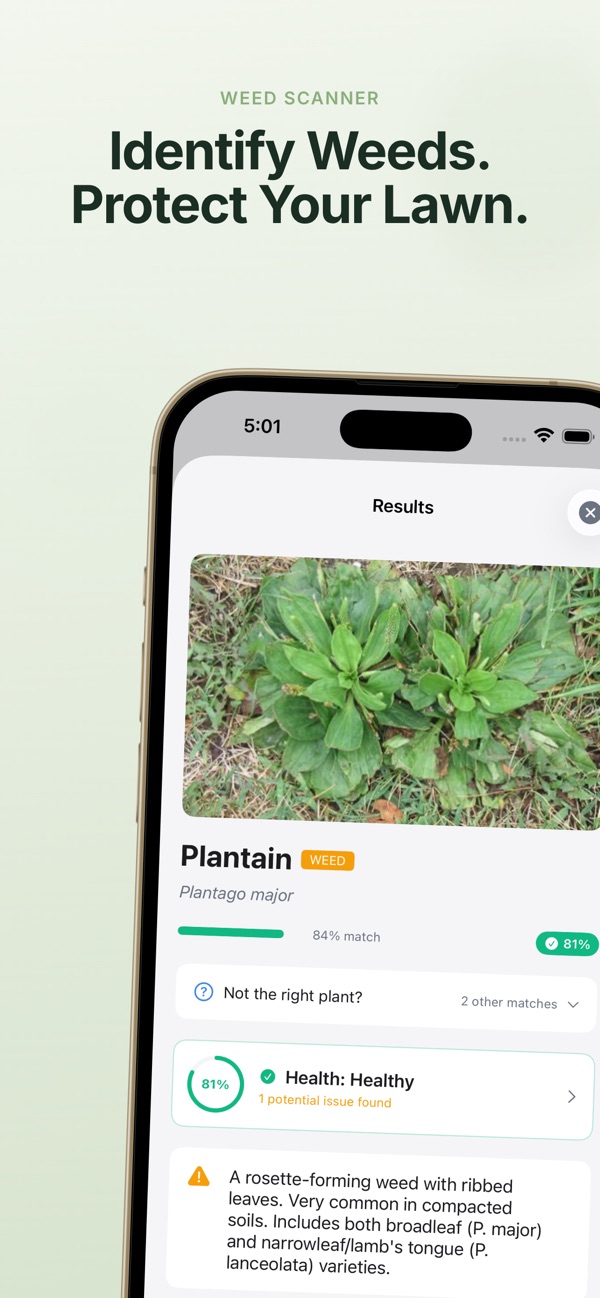 Plant Identifier screenshot