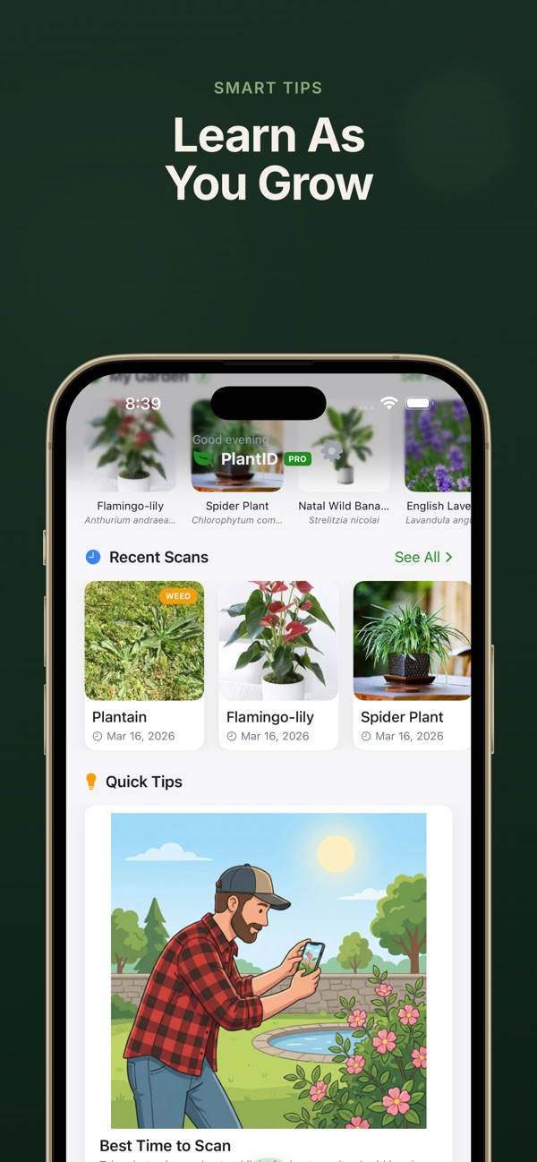 Plant Identifier screenshot