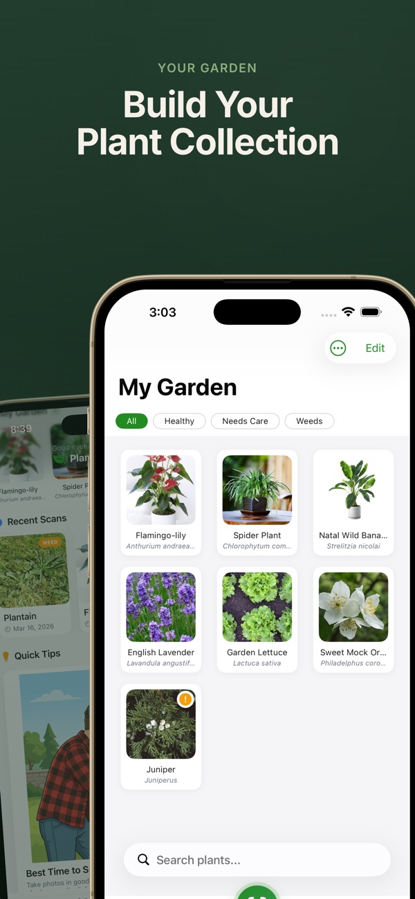 Plant Identifier screenshot
