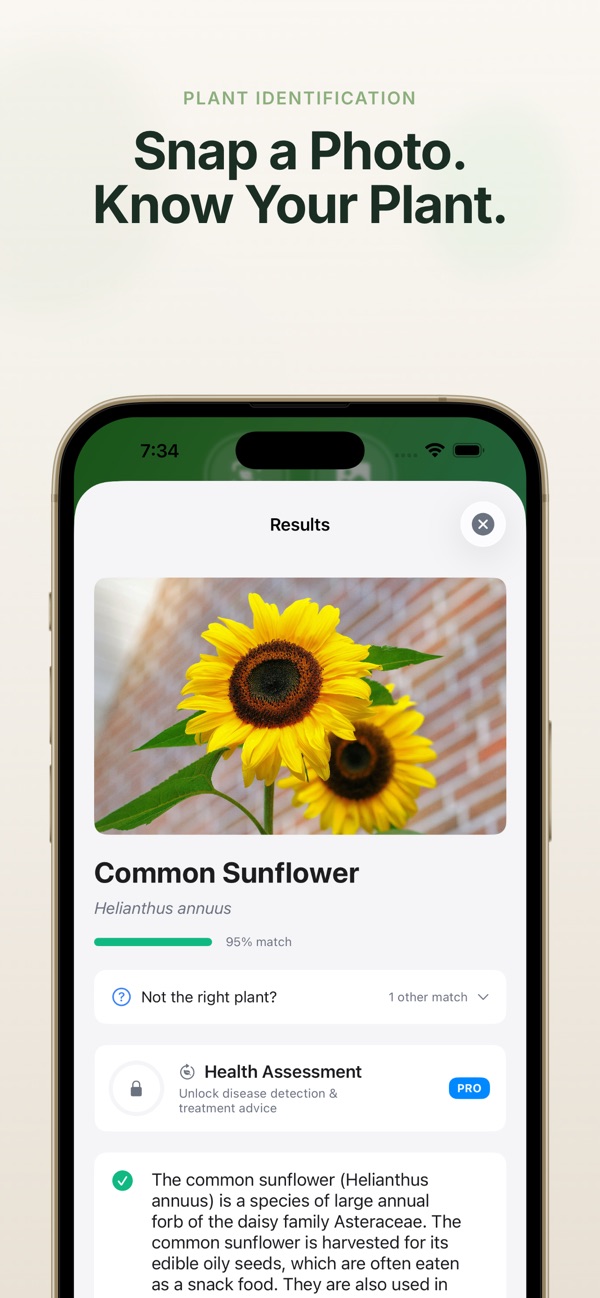 Plant Identifier screenshot