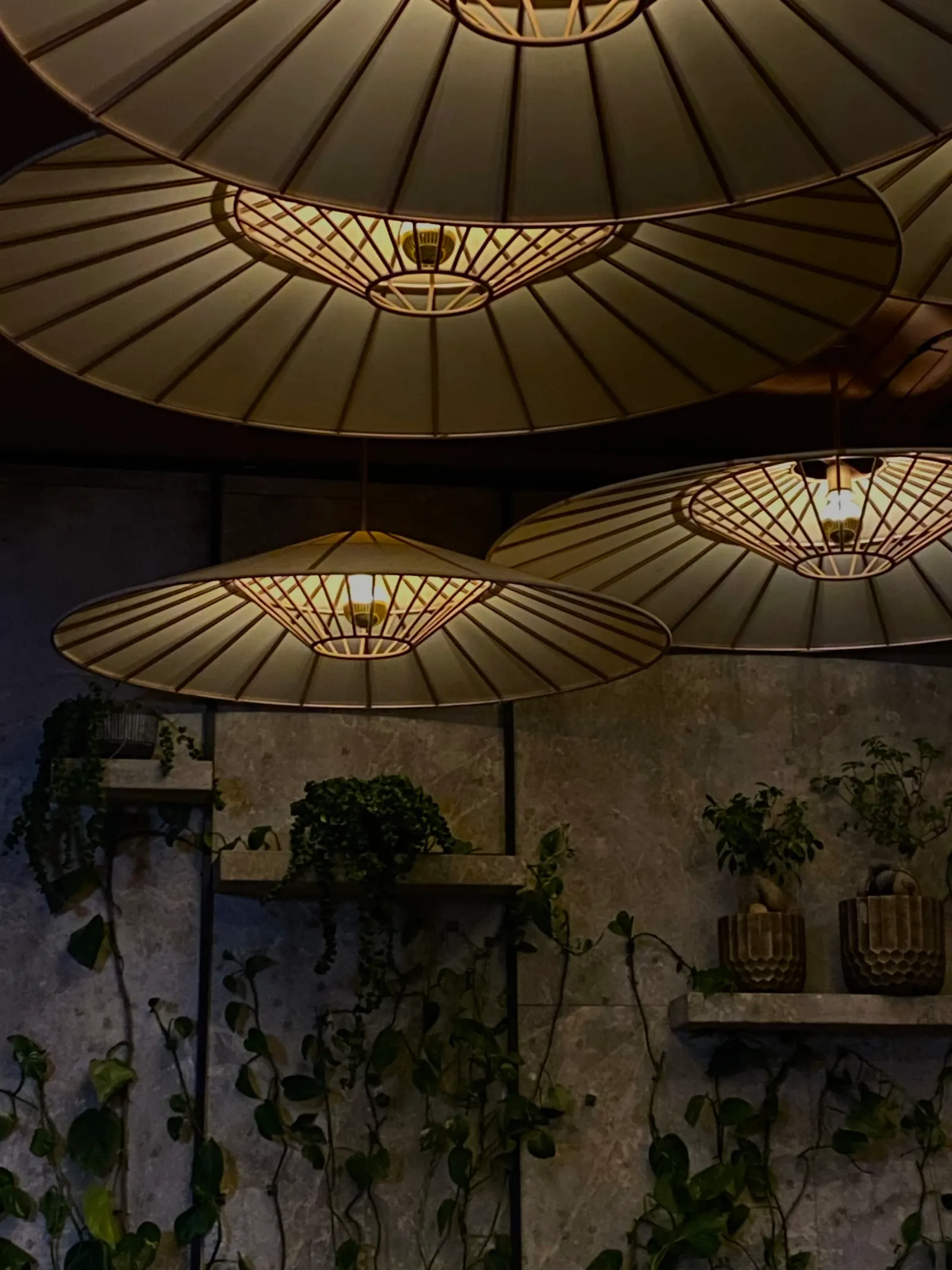 Patterned ceiling lights with climbing plants and potted plants against a textured wall, shot from below.